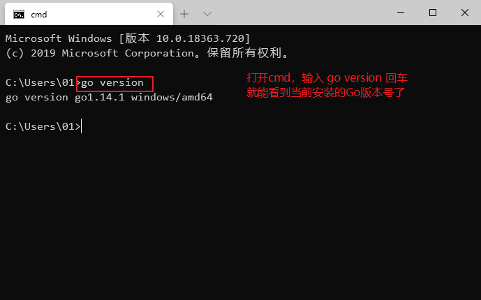 Go版本检查结果